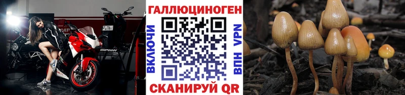 Псилоцибиновые грибы мухоморы  Купить закладки  Вилючинск 